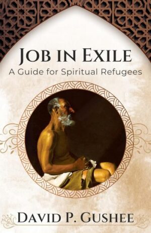 Job in Exile: A Guide for Spiritual Refuges, by David P. Gushee, published by Orbis Books